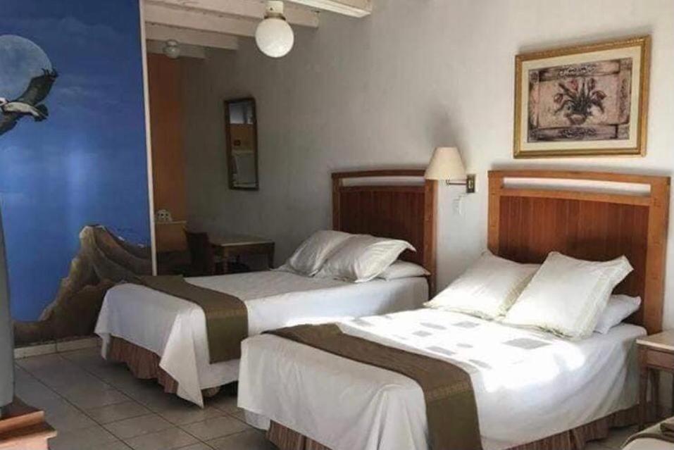 Hotel Villa Vittas Resort Bahia de Los Angeles Eksteriør bilde